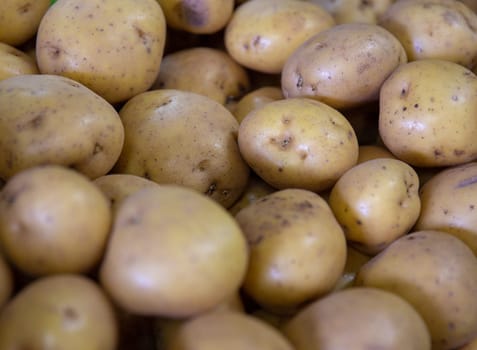 Freshly picked potatoes grown organically at a farmers market