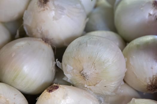 Bunch of White Onions shot close up