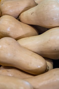 Bunch of Summer Squash in the grocery store