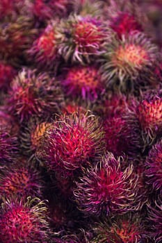Group of Rambutan for sale at a market