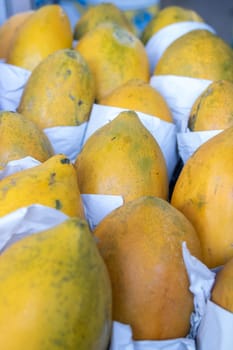 Young Papayas for sale at a market stall