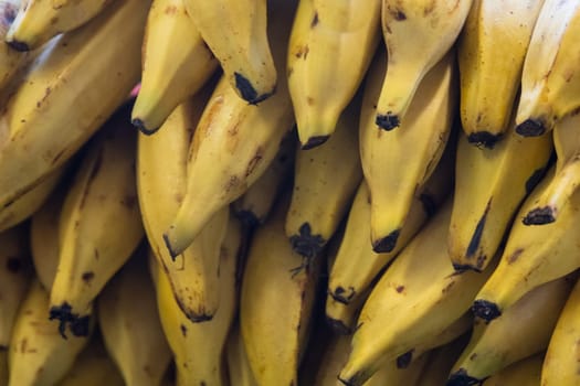 Stack of Bananas shot close up