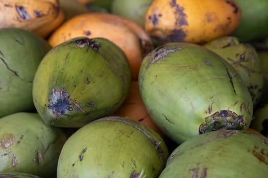 Batch of Fresh Organic Coconuts for sale