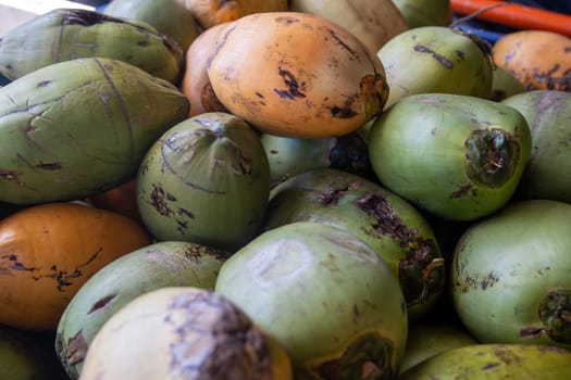 Batch of Fresh Organic Coconuts for sale