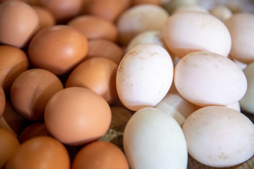 Brown and White Eggs for sale at the market