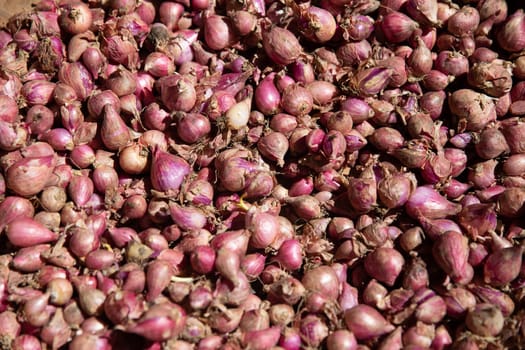 Bunch of organic shallots at a market place