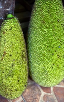 Pair of Jackfruit at a market stall