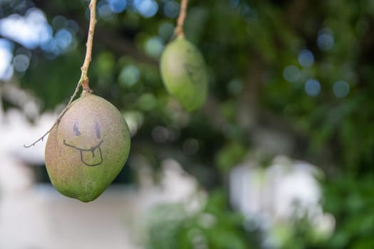 Silly looking young mango with another mango behind it smiling