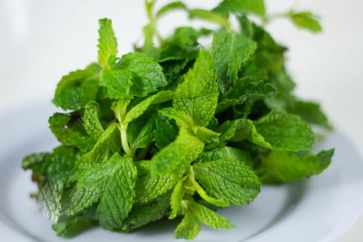 Bundle of Mint on a plate