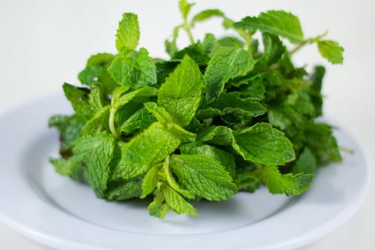 Bundle of Mint on a plate