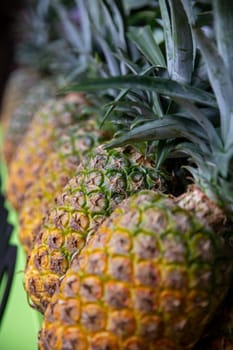 Pineapple shot close up showing details