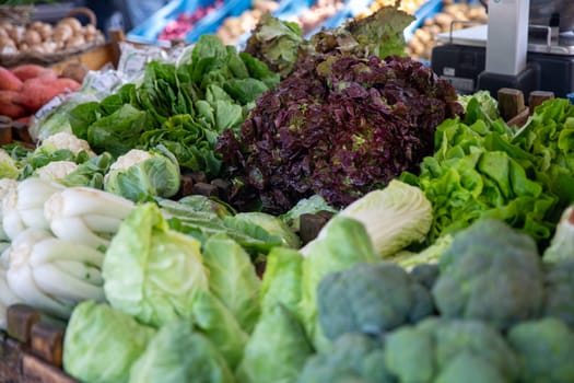 Rows of Fresh Market Vegetables