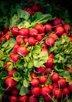 Group of Radishes in a Market