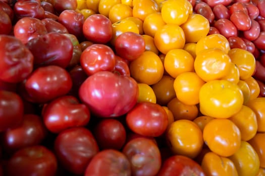 Bunch of colorful small cherry tomatoes