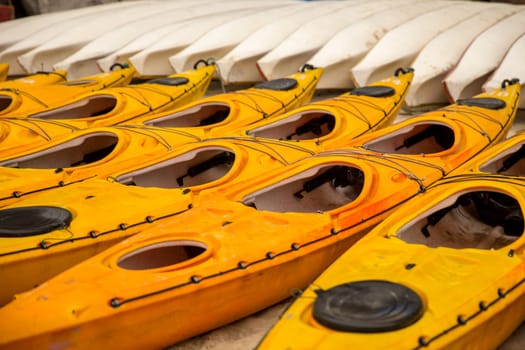Kayaks lined up ready to be used by tourists