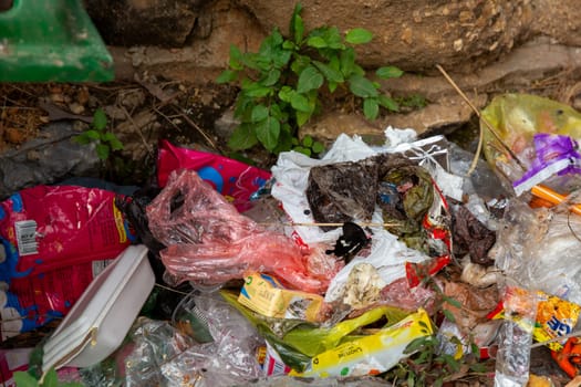 Black Butterfly in Trash in Asia