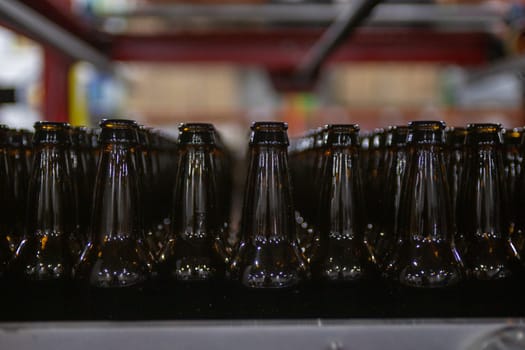 Empty Beer Bottles ready to be filled