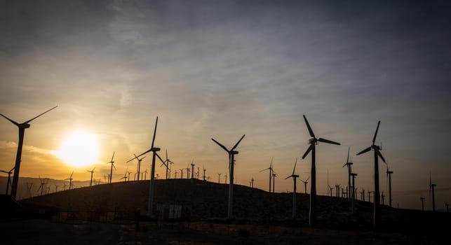Panorama of Wind turbines at Sunrise