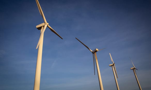 A Row of Wind Turbines for renewable energy