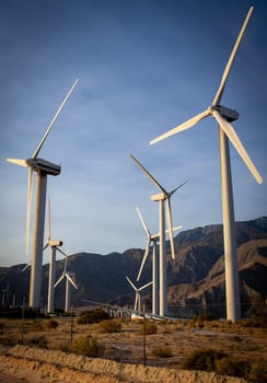 Electric Generating Wind Mills in the morning