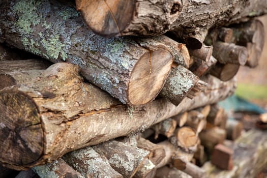 Stack of wood for winter season