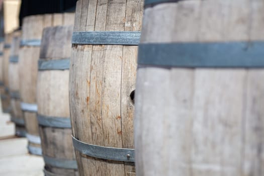 Row of Wooden Barrels at a vineyard