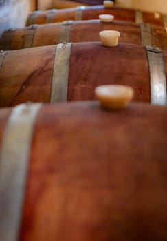 Row of Wine Barrels at a vineyard