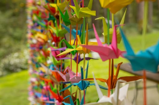 Curtain of Origami Cranes as decoration for an event.