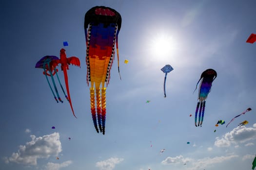 Kites in the air at a festival