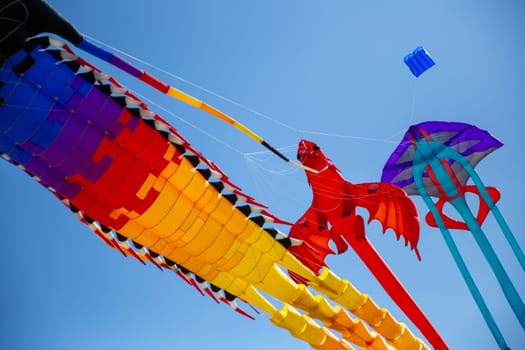 Kites in the air at a festival