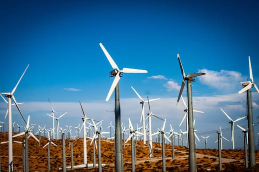 Wind Turbines on a Bright Day still