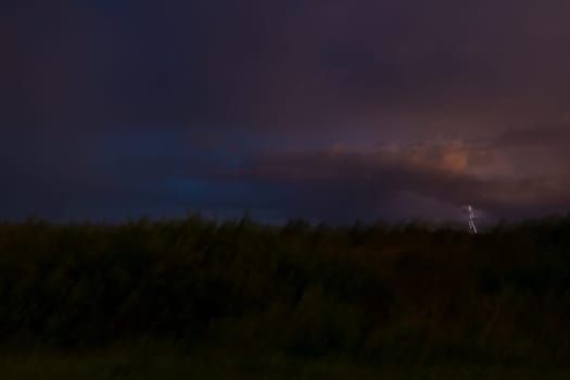 Lightning Strike in the everglades in a surreal landscape