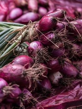 Springs onion also known as bunching onion