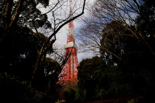 Tokyo Tower in March Spring Time