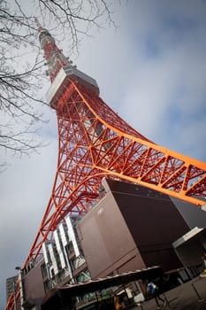 Portrait shot of Tokyo Tower in March