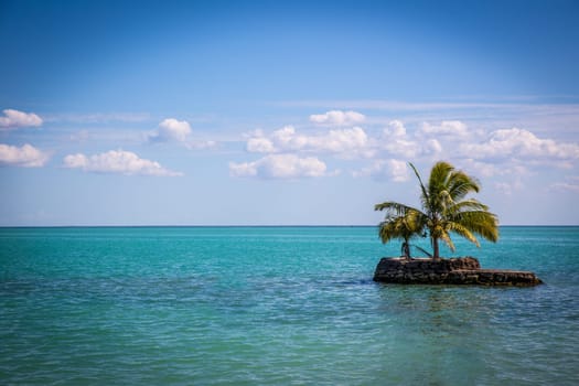 Secluded Island with Palm Trees on the ocean