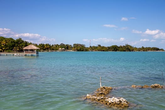 Amber Gris Caye shoreline in Belize