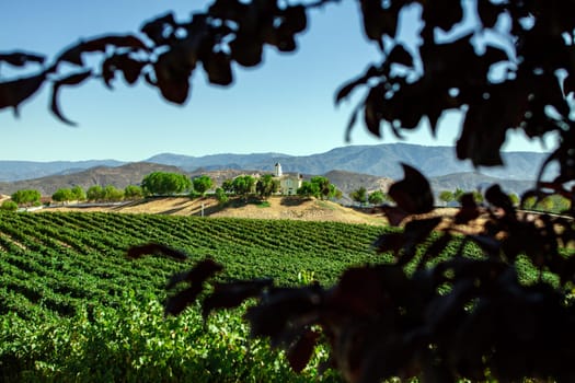 Estate on a vineyard in Temecula, California