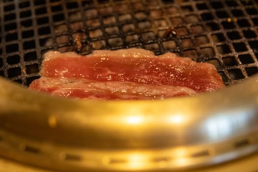 Cooking Pork on the BBQ grill