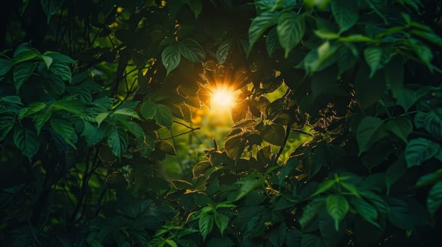 Bright Sun Shining Through Green Leaves and Branches in Forest