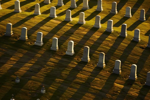 Aerial View of Rows of White Tombstones in Cemetery Graveyard on Sunny Day Casting Long Shadows
