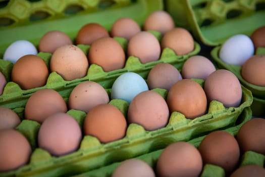 Farm Fresh Organic Eggs in cartons at a market