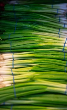 Green onions stacked up in a grocery store