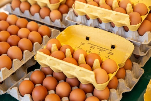 Cartons of Brown Eggs in Europe