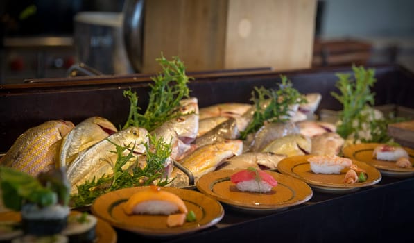 Display of Fish and various types of sushi