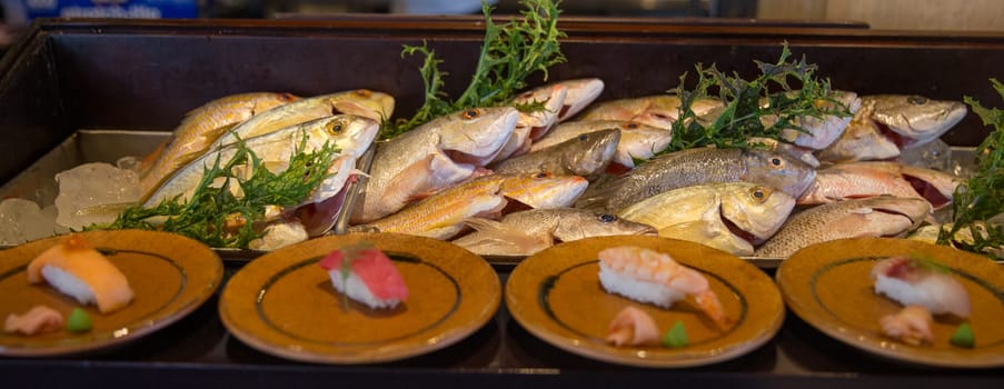 Sushi Displayed with fresh fish and Nigiri