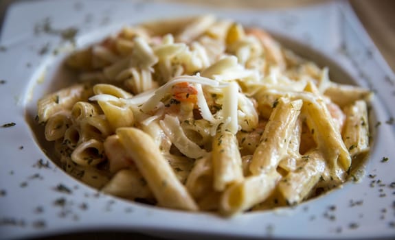 Penne Alfredo with Shrimp shot close up