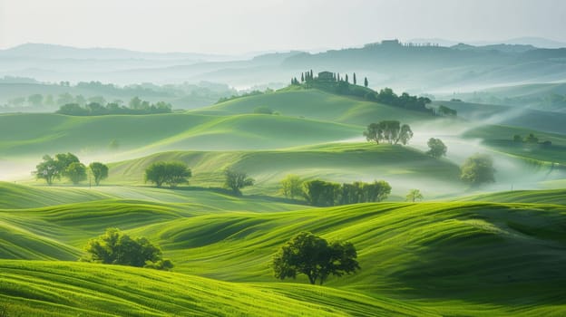 A view of a green landscape with rolling hills and trees