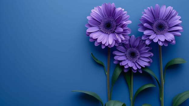 Three purple flowers are standing in front of a blue background