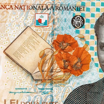 Romanian LEI Currency Banknote. RON Money European Currency